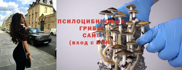 герыч Пересвет